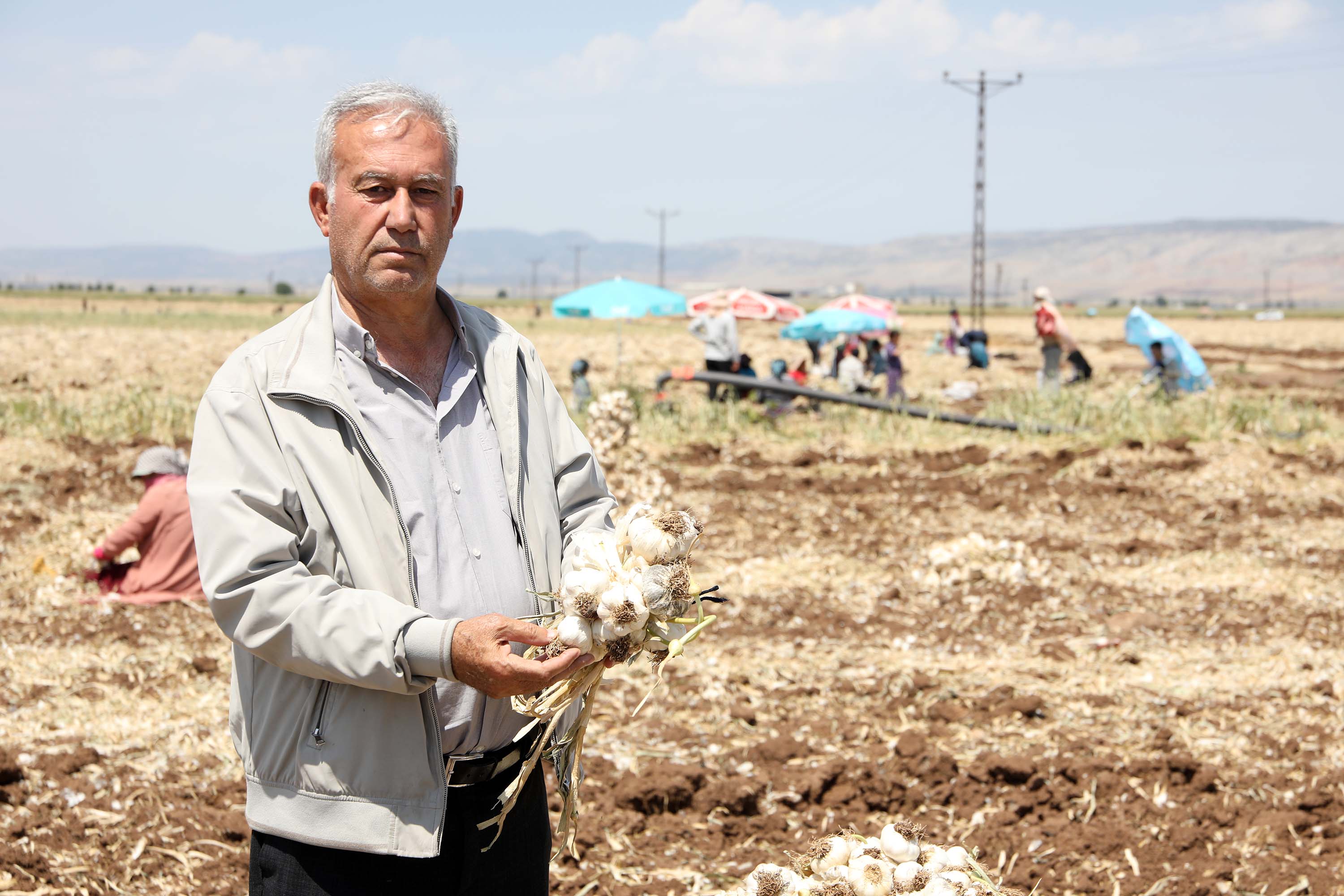 gaziantepte-10-bin-tarim-iscisiyle-sari-731447-216099.jpg