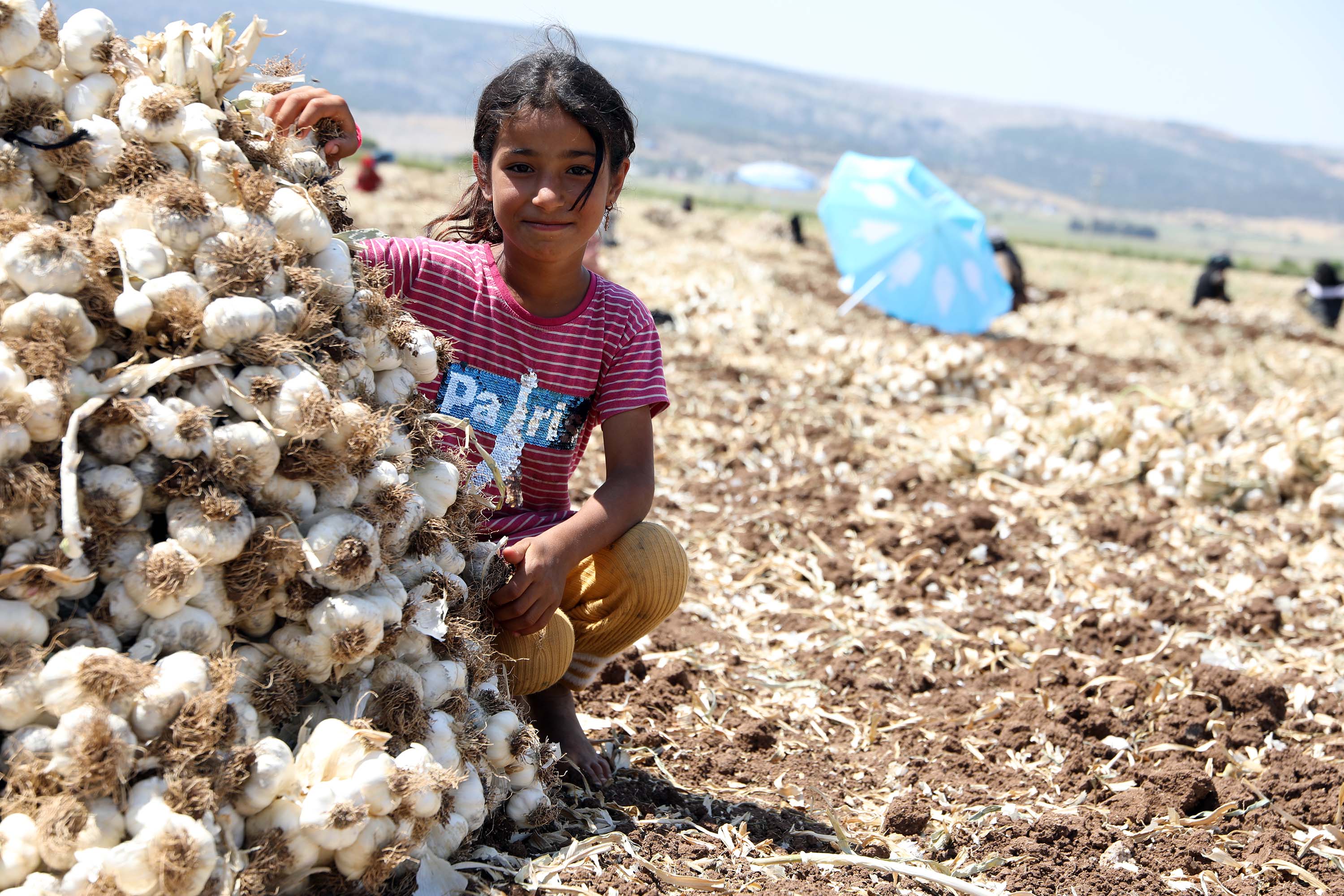 gaziantepte-10-bin-tarim-iscisiyle-sari-731449-216099.jpg