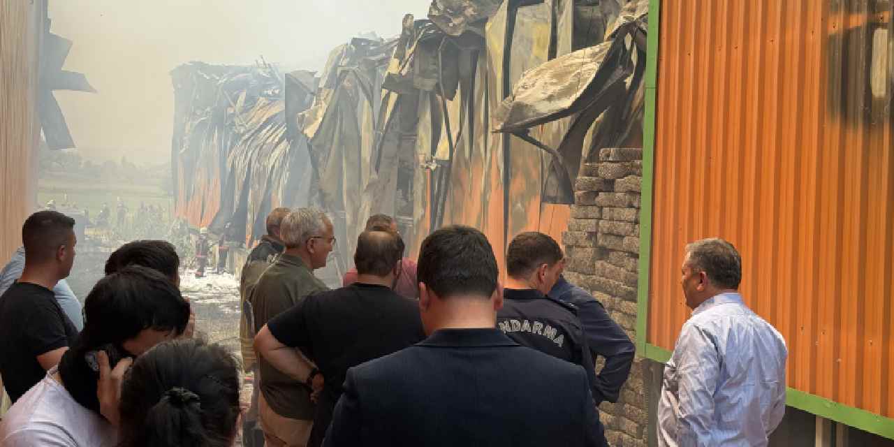 yeni-proje-2025-06-04t170556-164-001.jpg