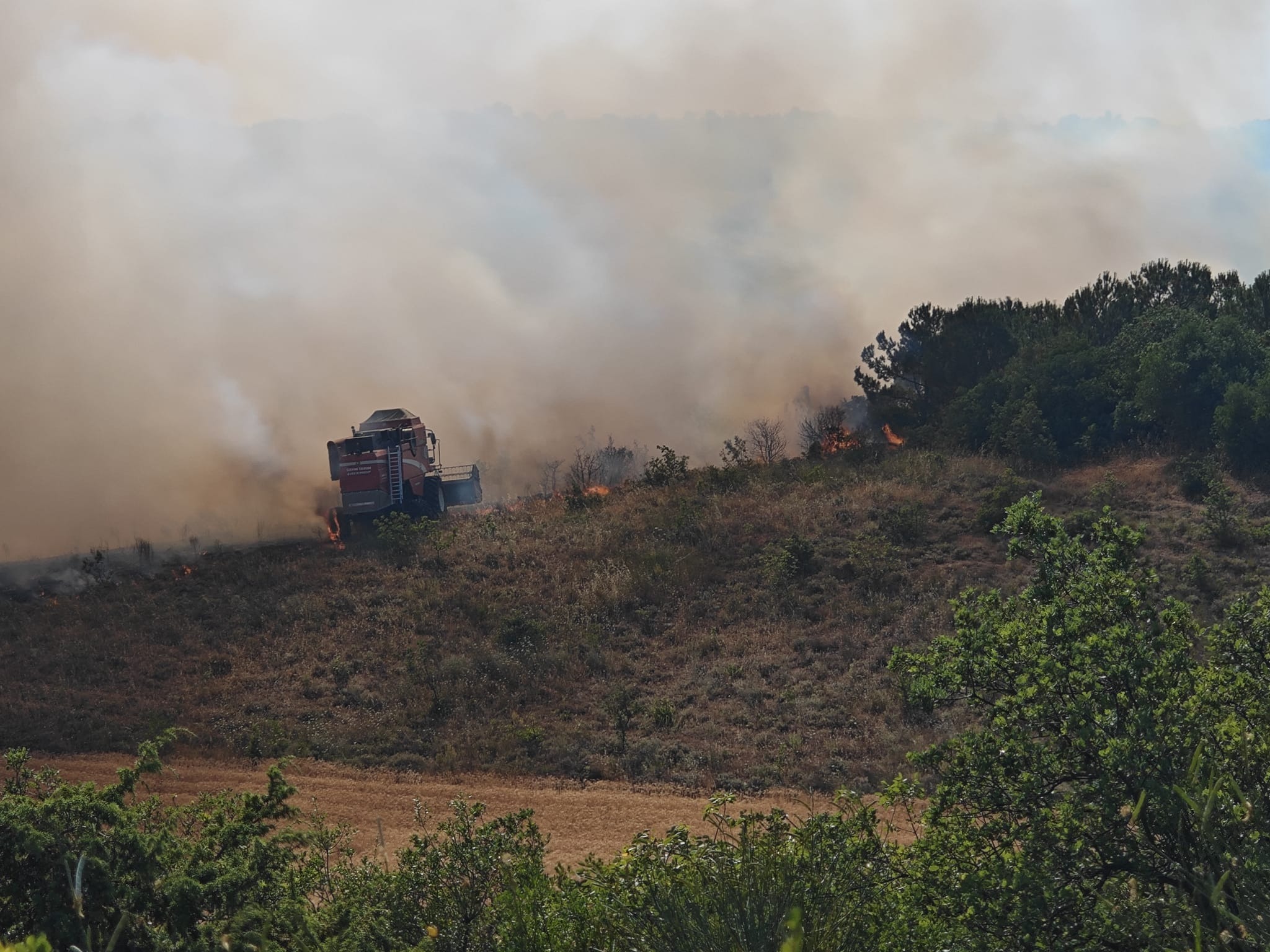 bursada-orman-yangini-775709-229273.jpg