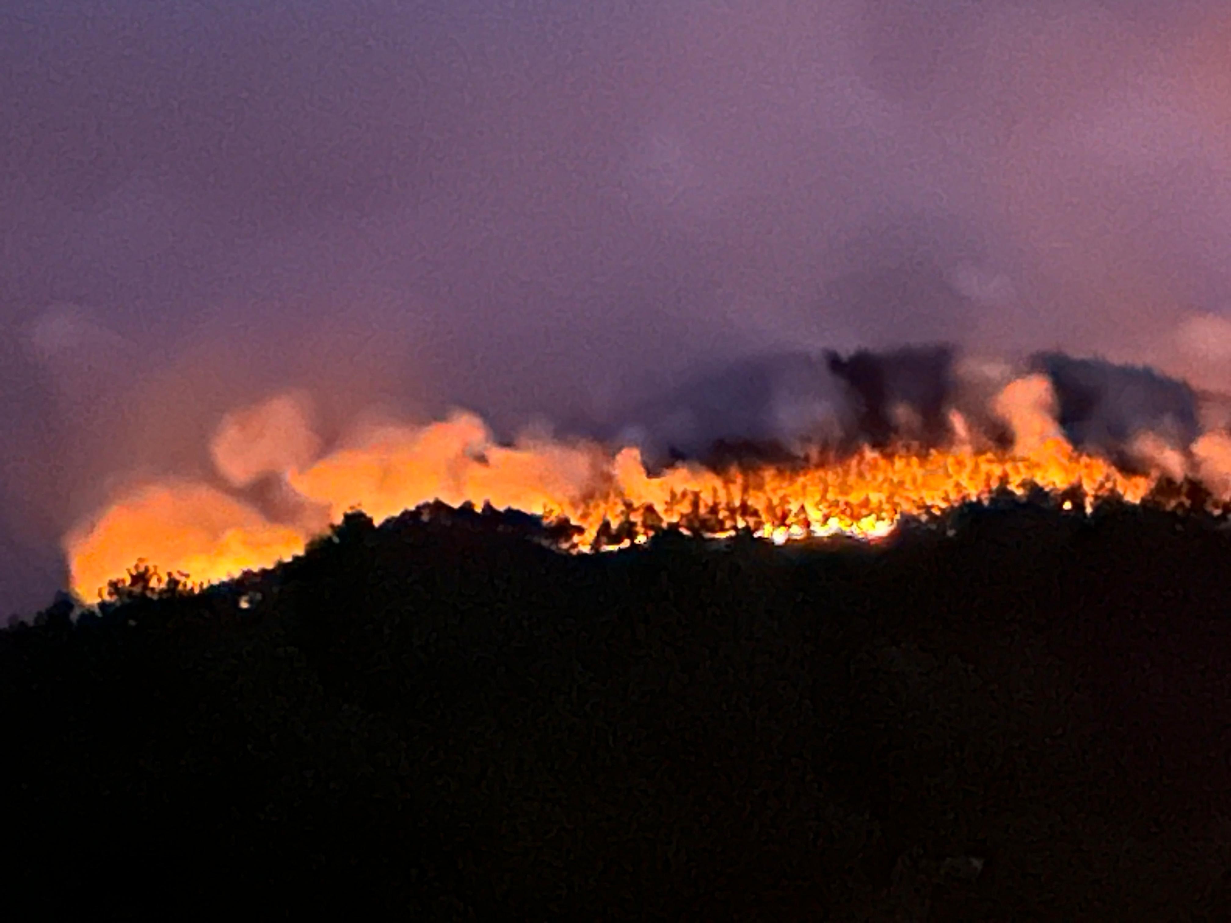 sakaryada-orman-yangini-4-787878-233122.jpg