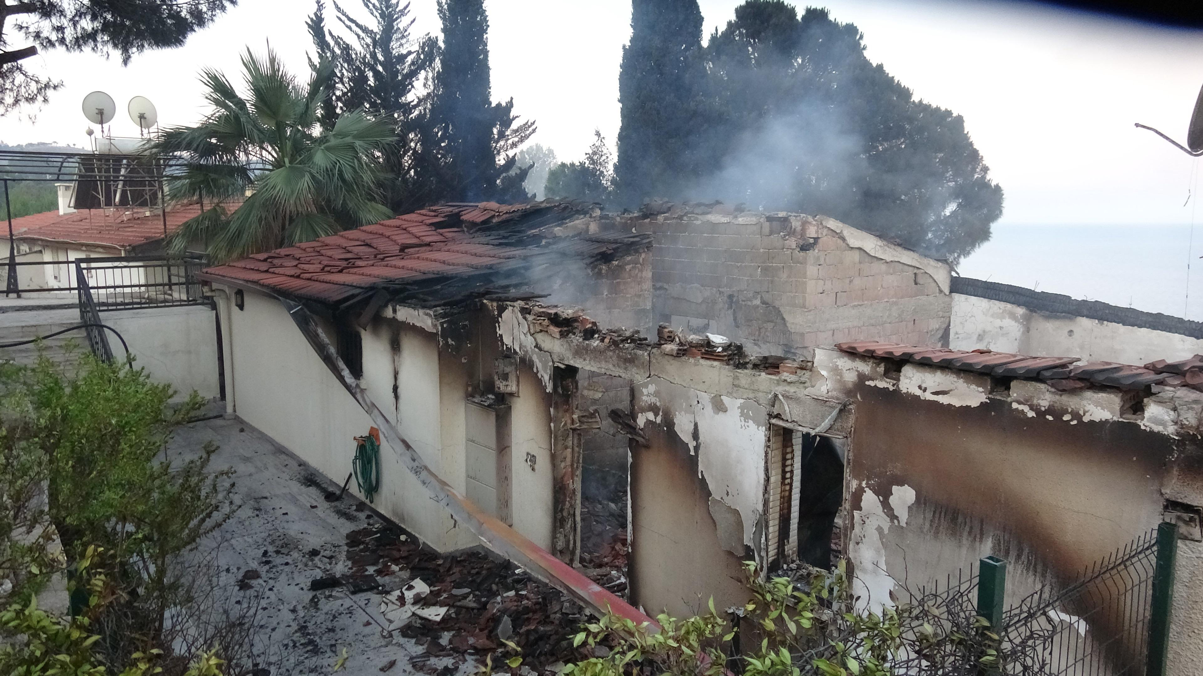izmirde-2-ayri-noktada-orman-yangini-9-791331-234044.jpg