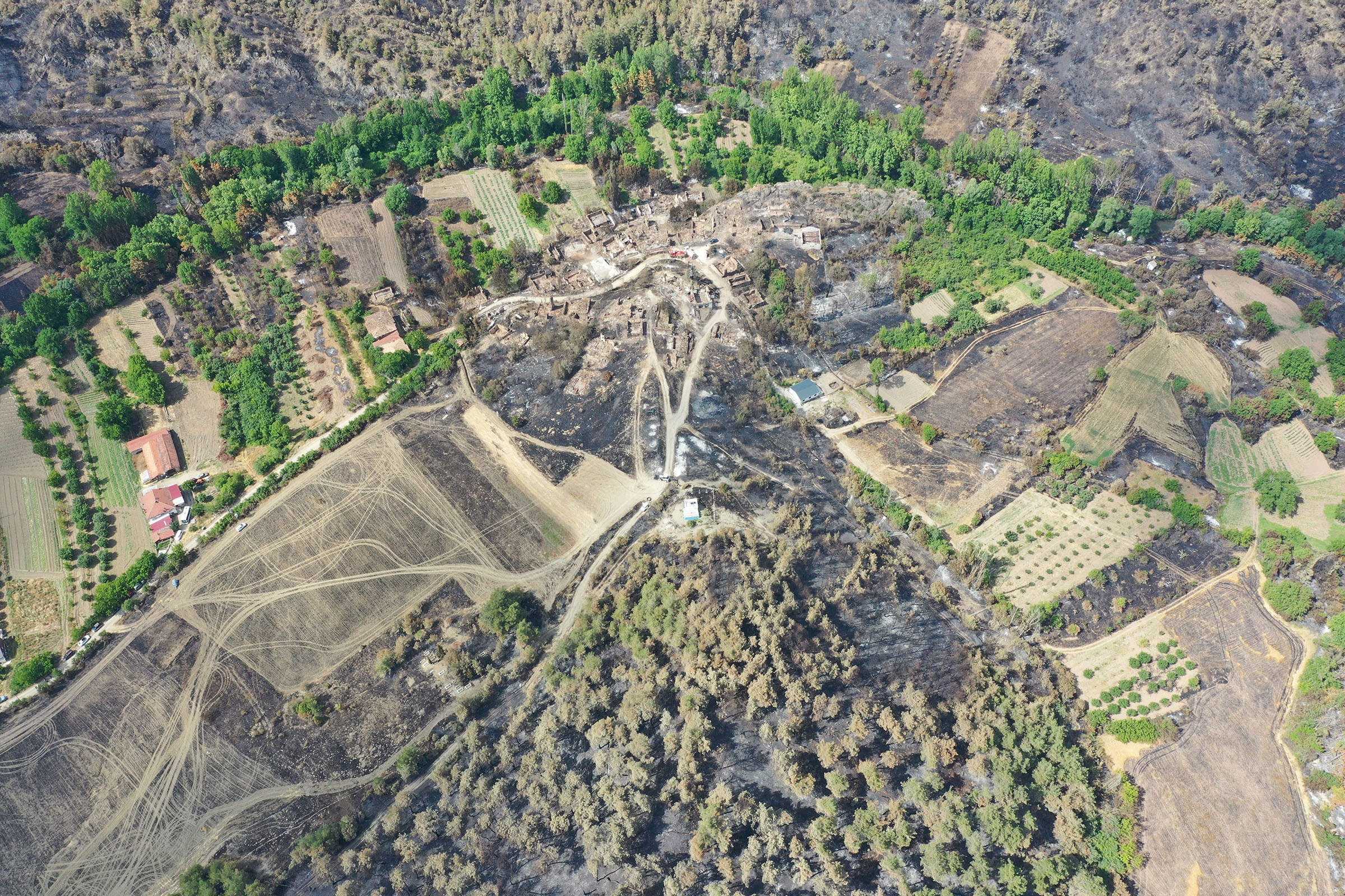 bilecikteki-yanginda-alevler-tarihi-koy-793132-234626.jpg