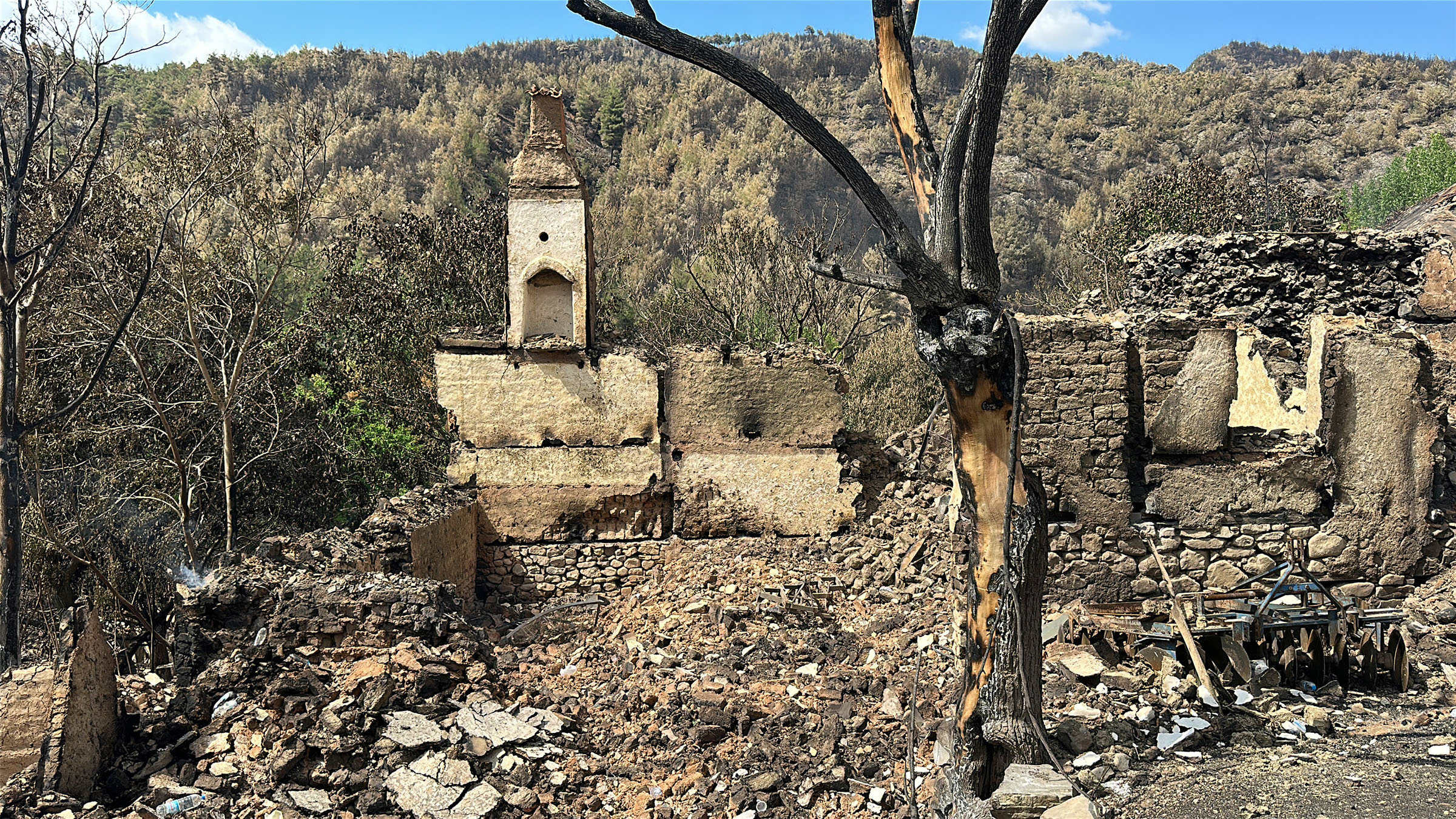 bilecikteki-yanginda-alevler-tarihi-koy-793134-234626.jpg