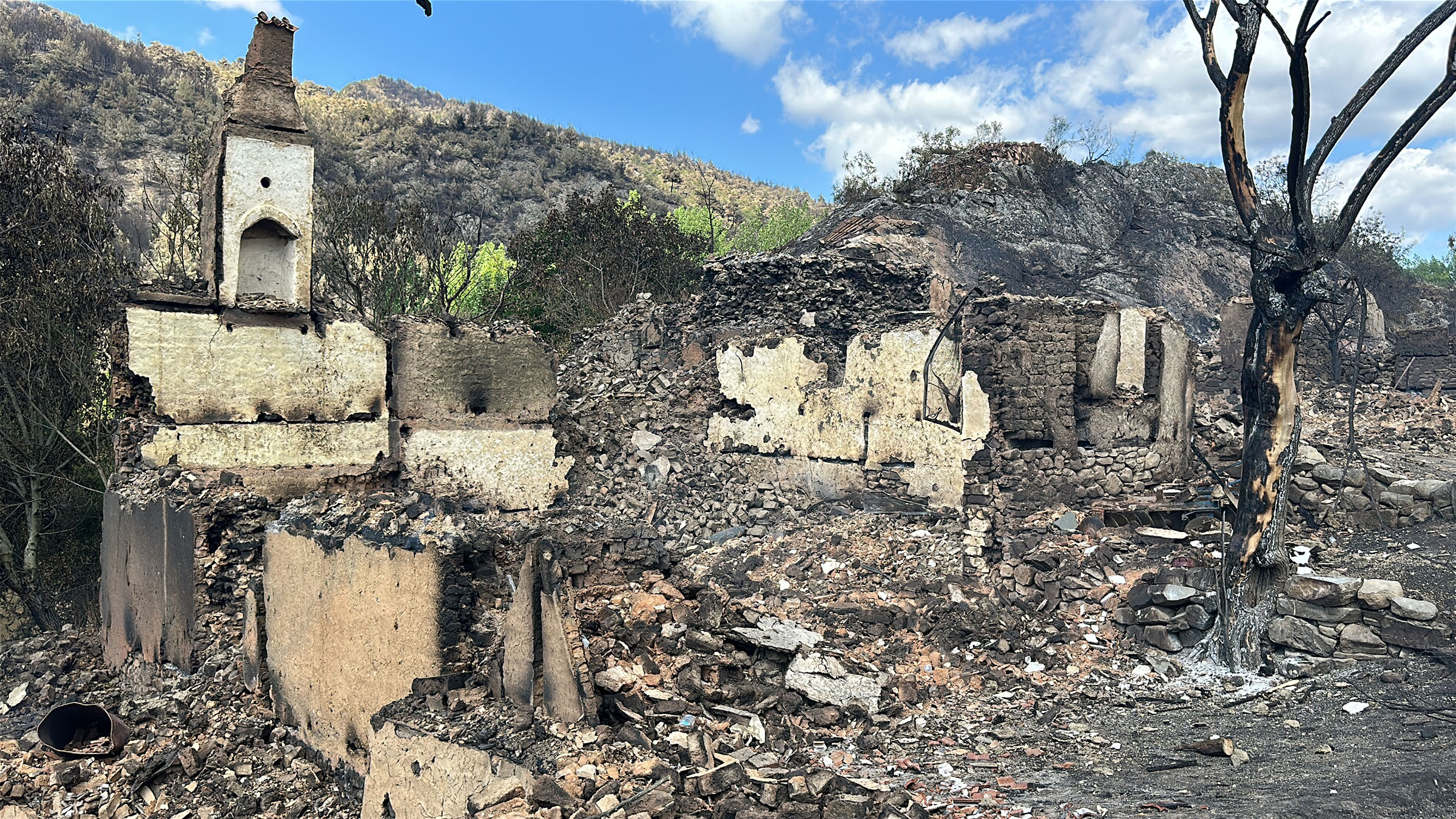 bilecikteki-yanginda-alevler-tarihi-koy-793138-234626.jpg