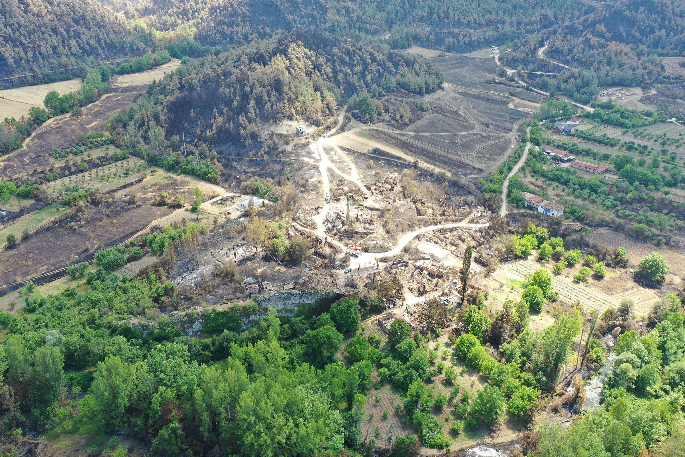 bilecikteki-yanginda-alevler-tarihi-koy-793141-234626.jpg