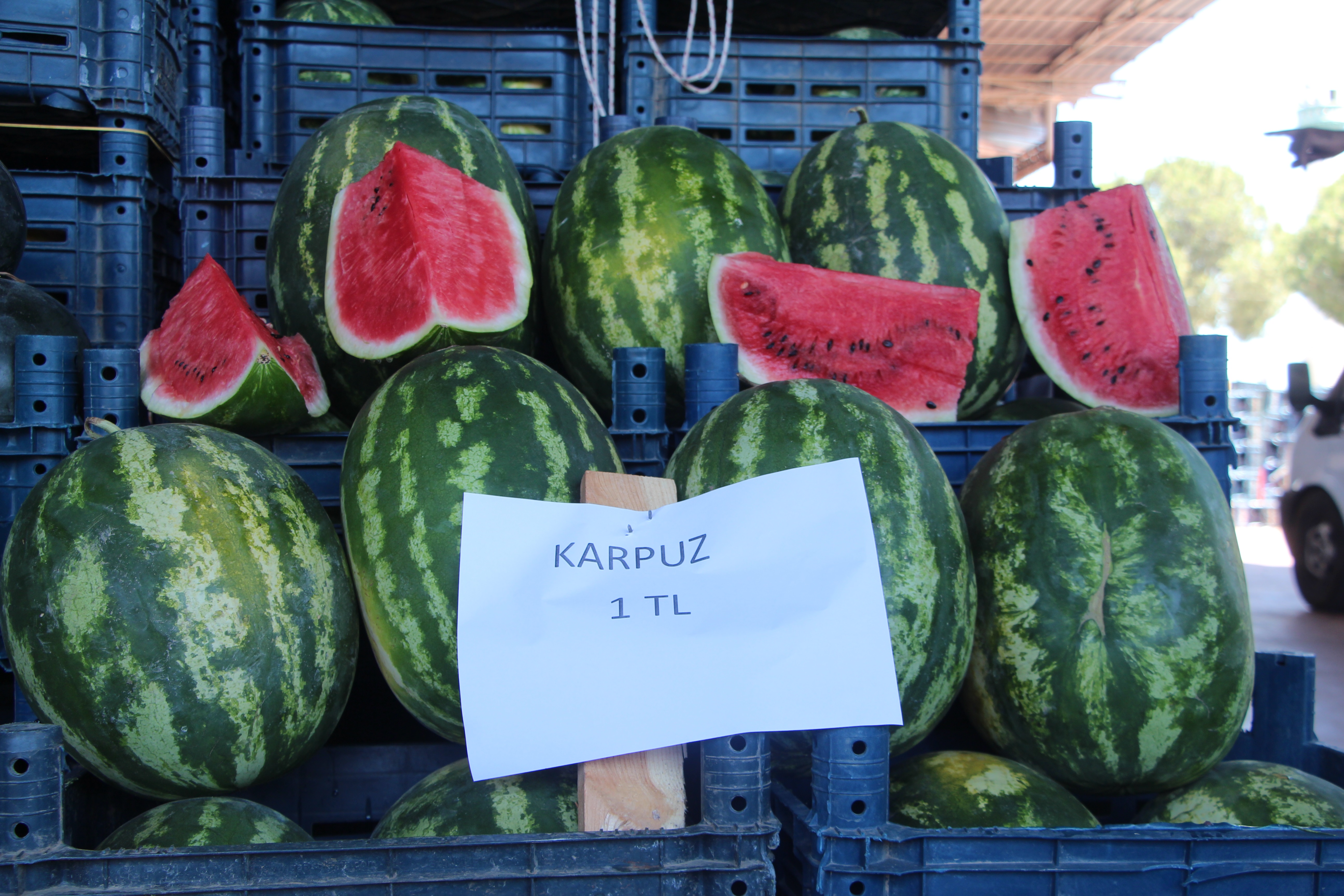 halde-kilosu-1-tlye-dusen-karpuz-market-795899-235541.jpg