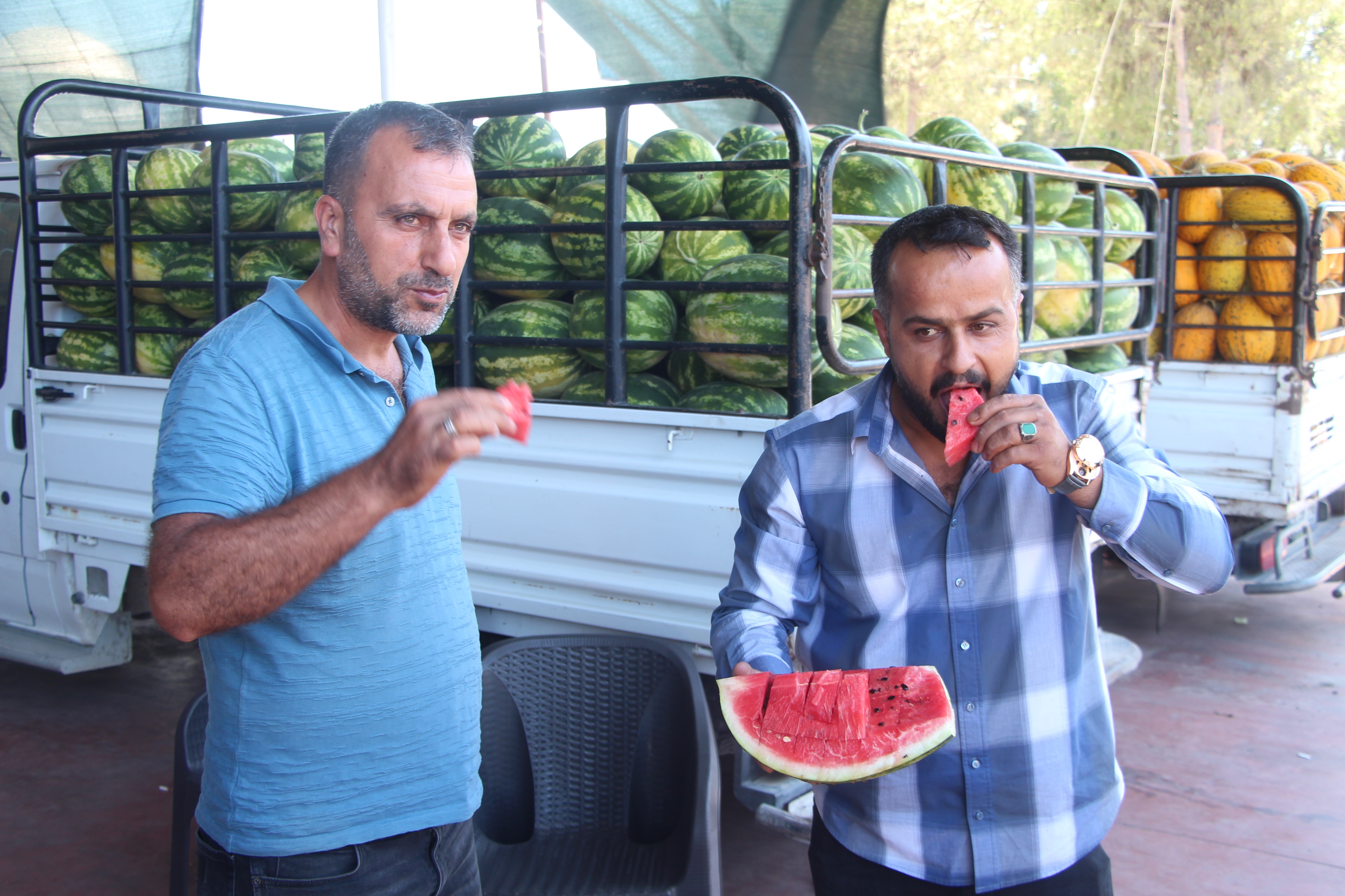 halde-kilosu-1-tlye-dusen-karpuz-market-795902-235541.jpg