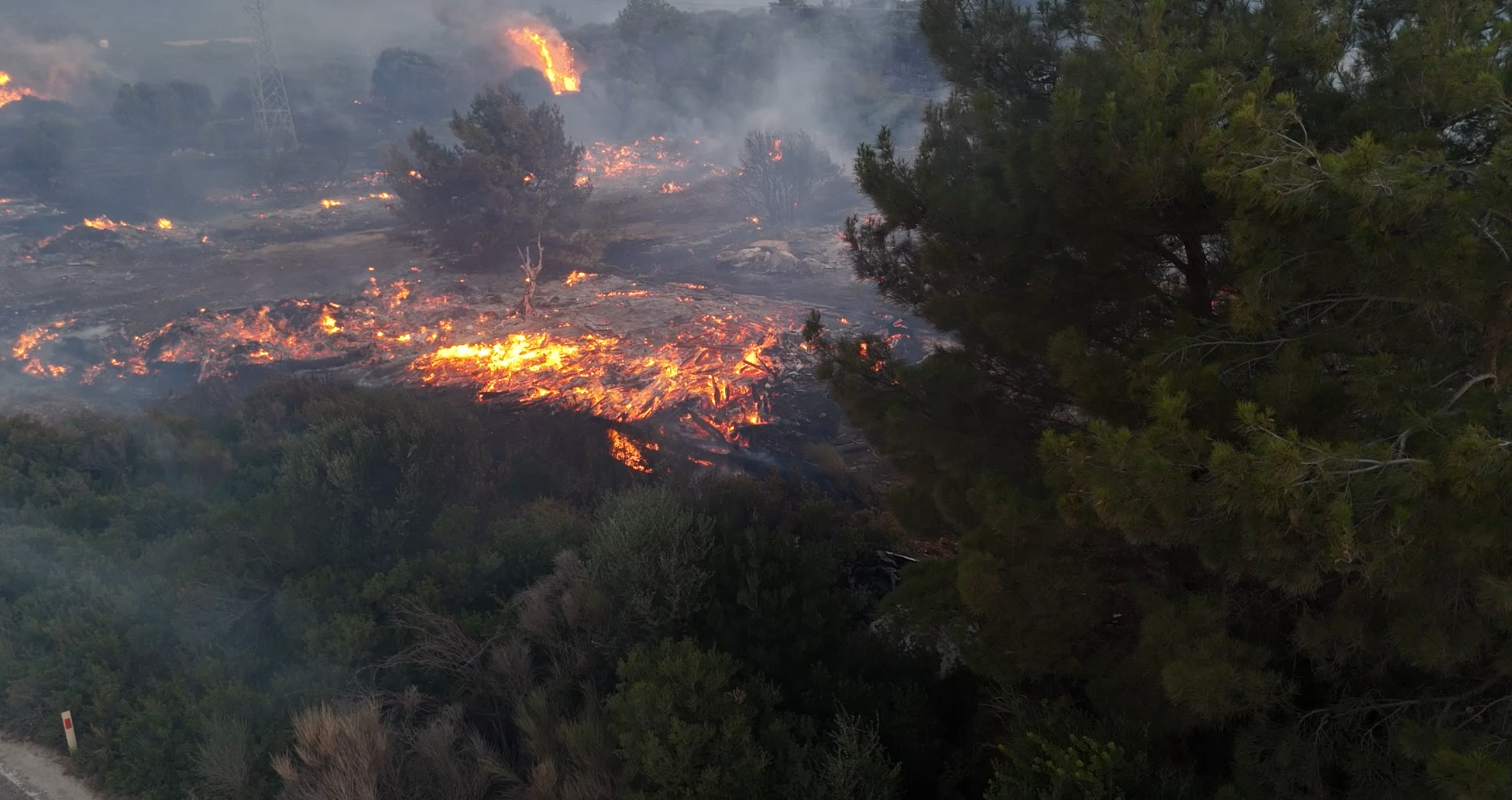 izmir-cesmede-orman-yangini-8-gundu-796538-235734.jpg