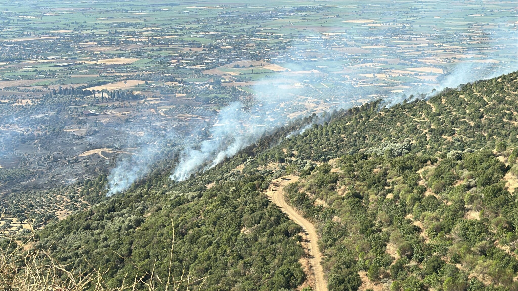 izmir-odemisteki-orman-yangini-3uncu-g-798184-236258.jpg