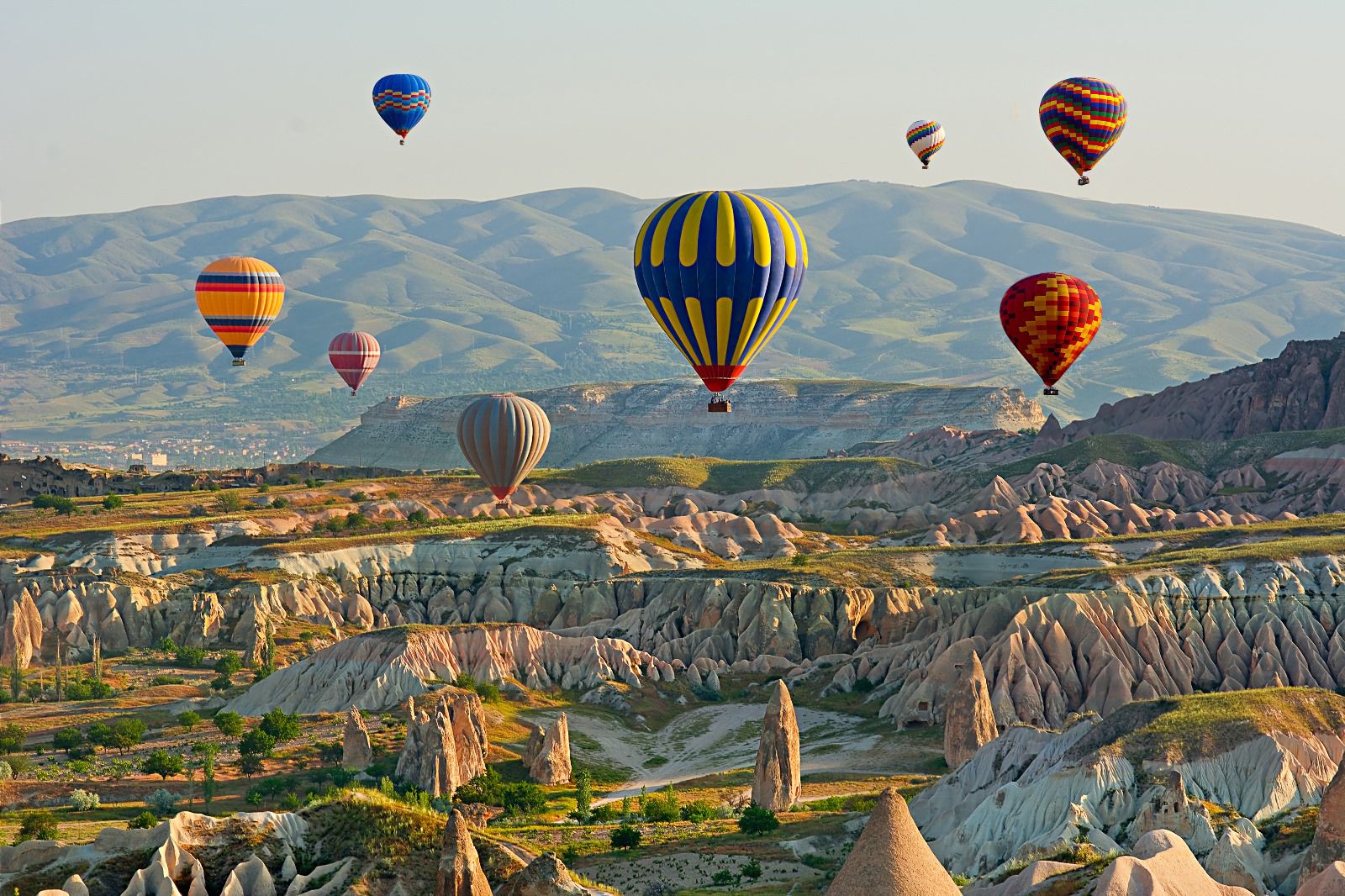bakanlik-turkiye-tatil-amacli-google-a-800764-237060.jpg