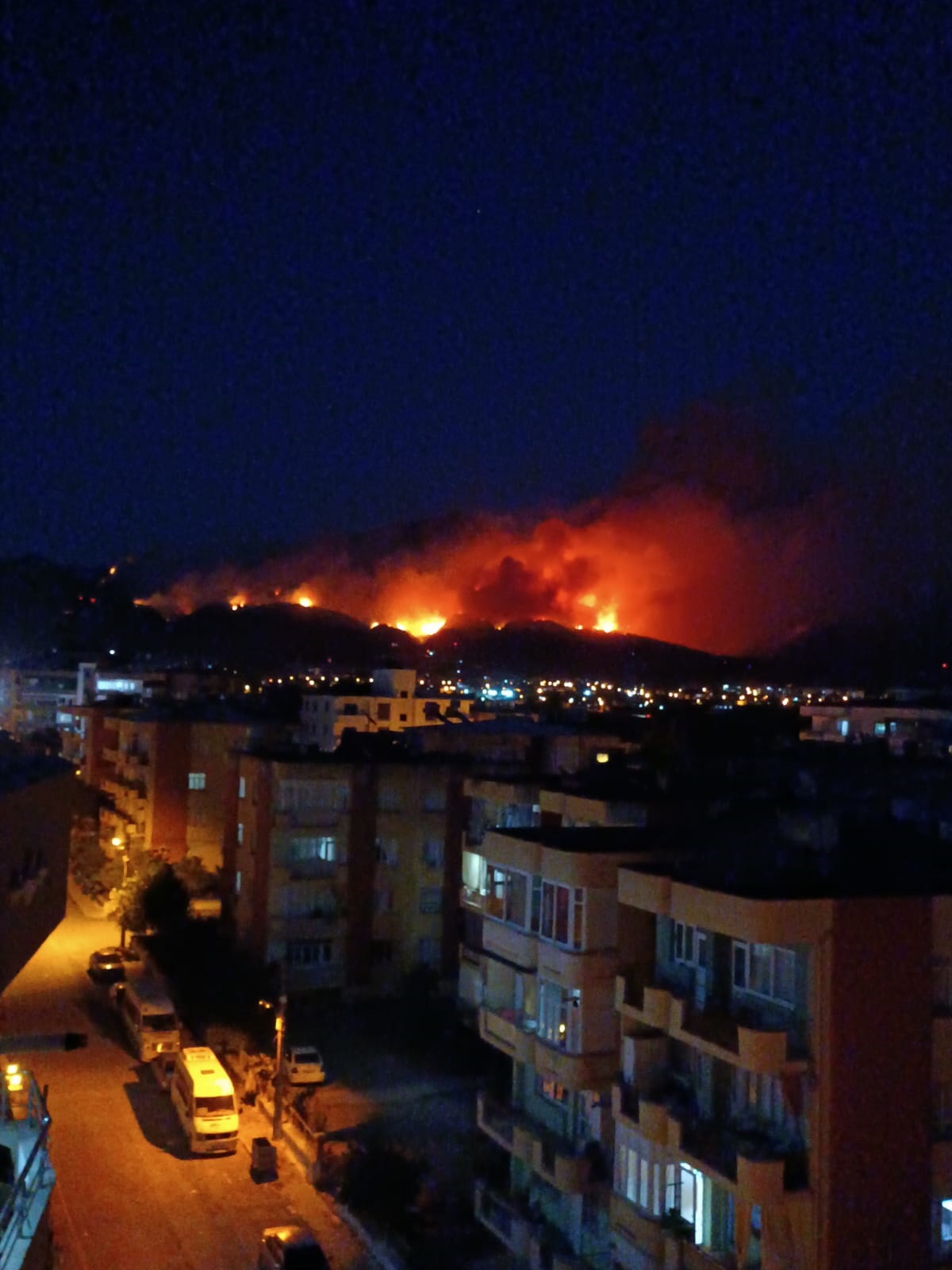 hatayda-orman-yangini-3-799957-236775.jpg