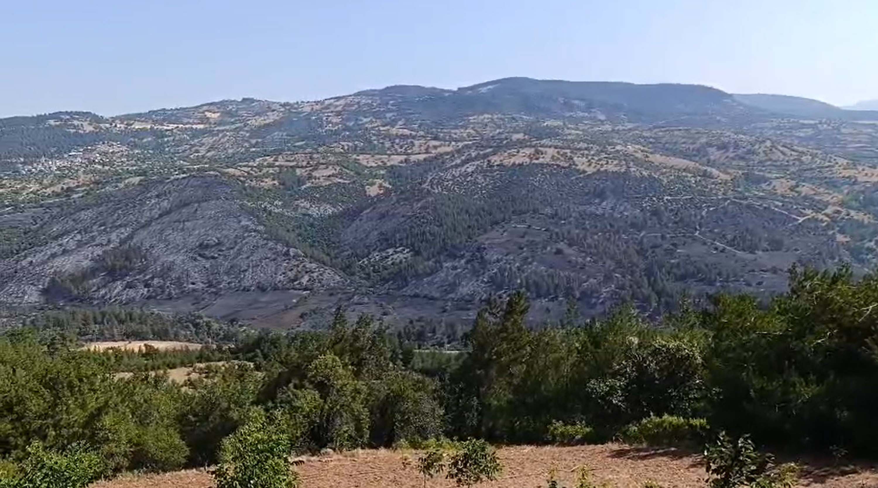balikesirdeki-orman-yangini-2nci-gunun-811545-240319.jpg