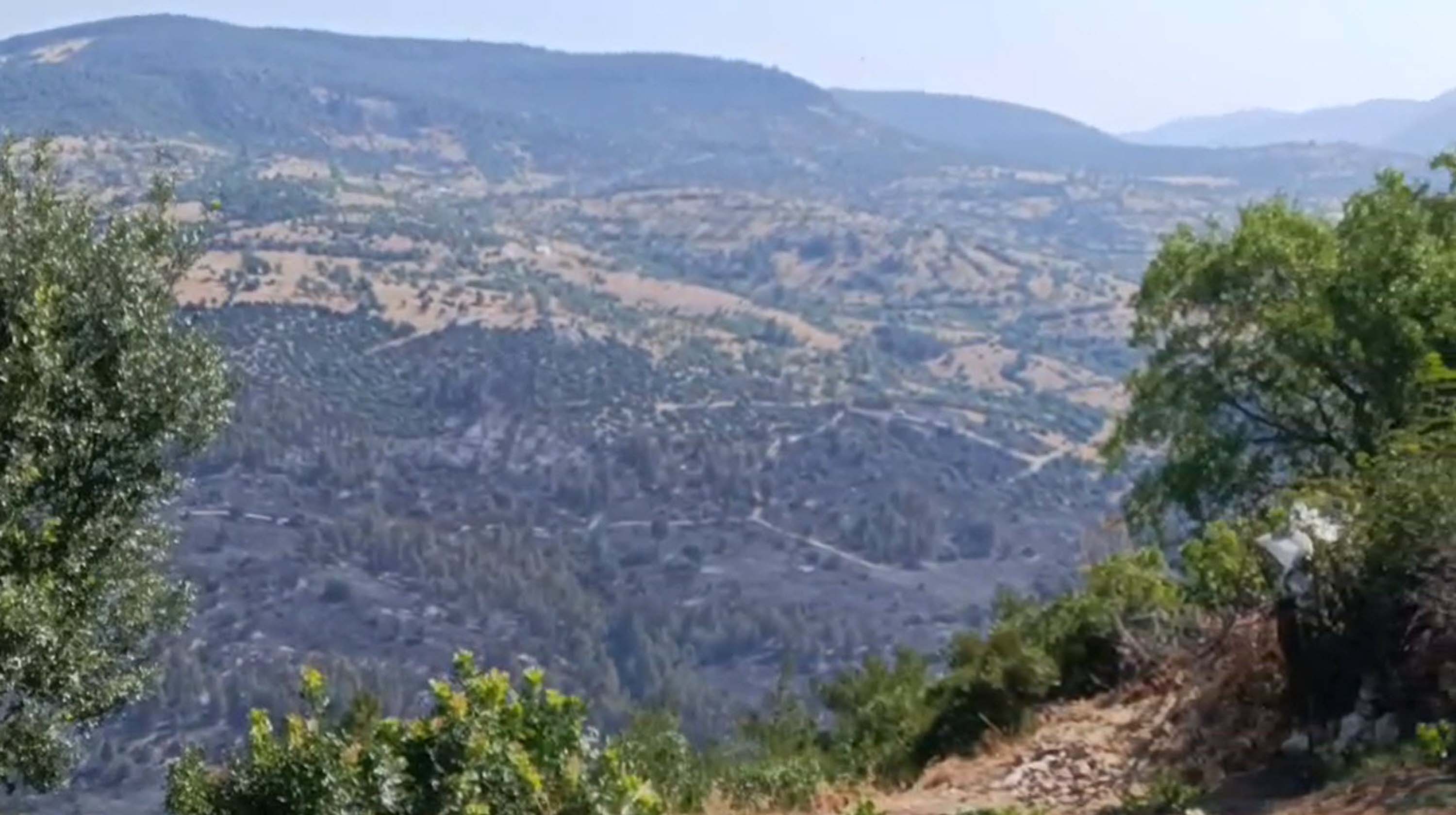 balikesirdeki-orman-yangini-2nci-gunun-811546-240319.jpg