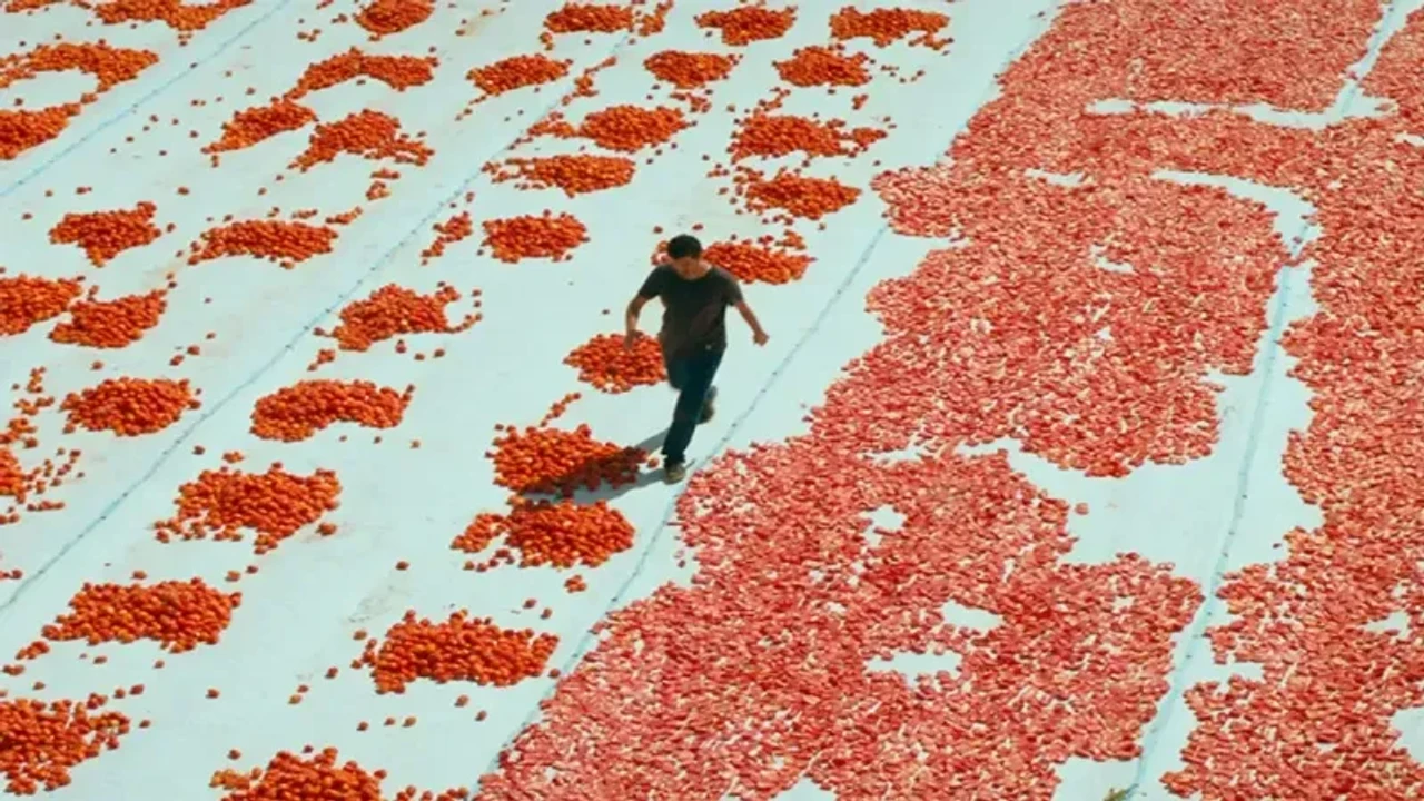 turkiyenin-oscar-adayi-belli-oldu-filmde-ne-anlatiyor-1.webp