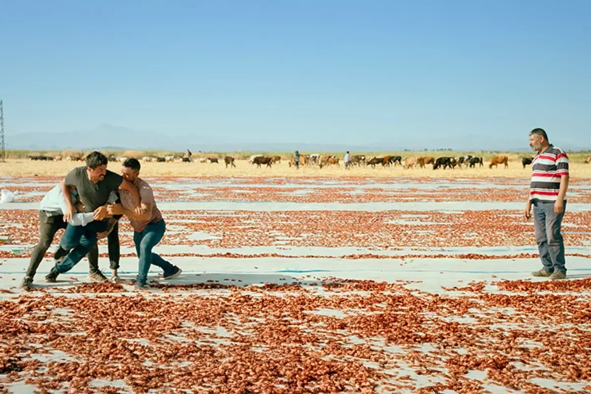 turkiyenin-oscar-adayi-belli-oldu-filmde-ne-anlatiyor-2.webp