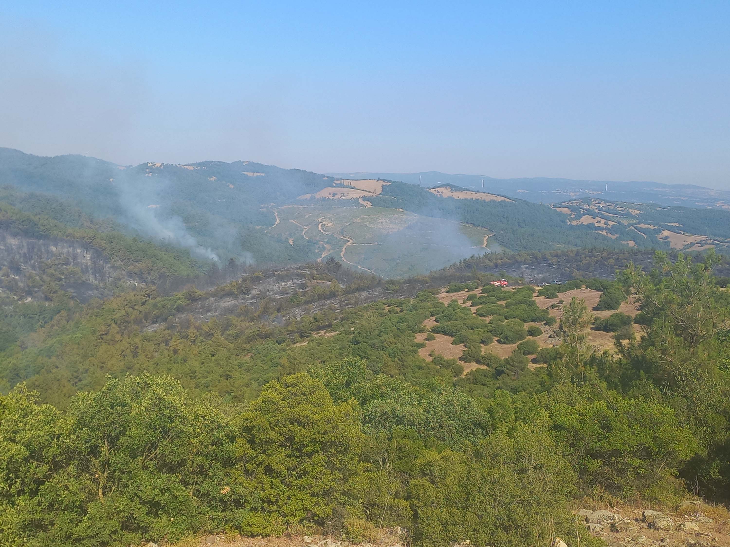 balikesirdeki-orman-yangini-2inci-gunu-819438-242696.jpg