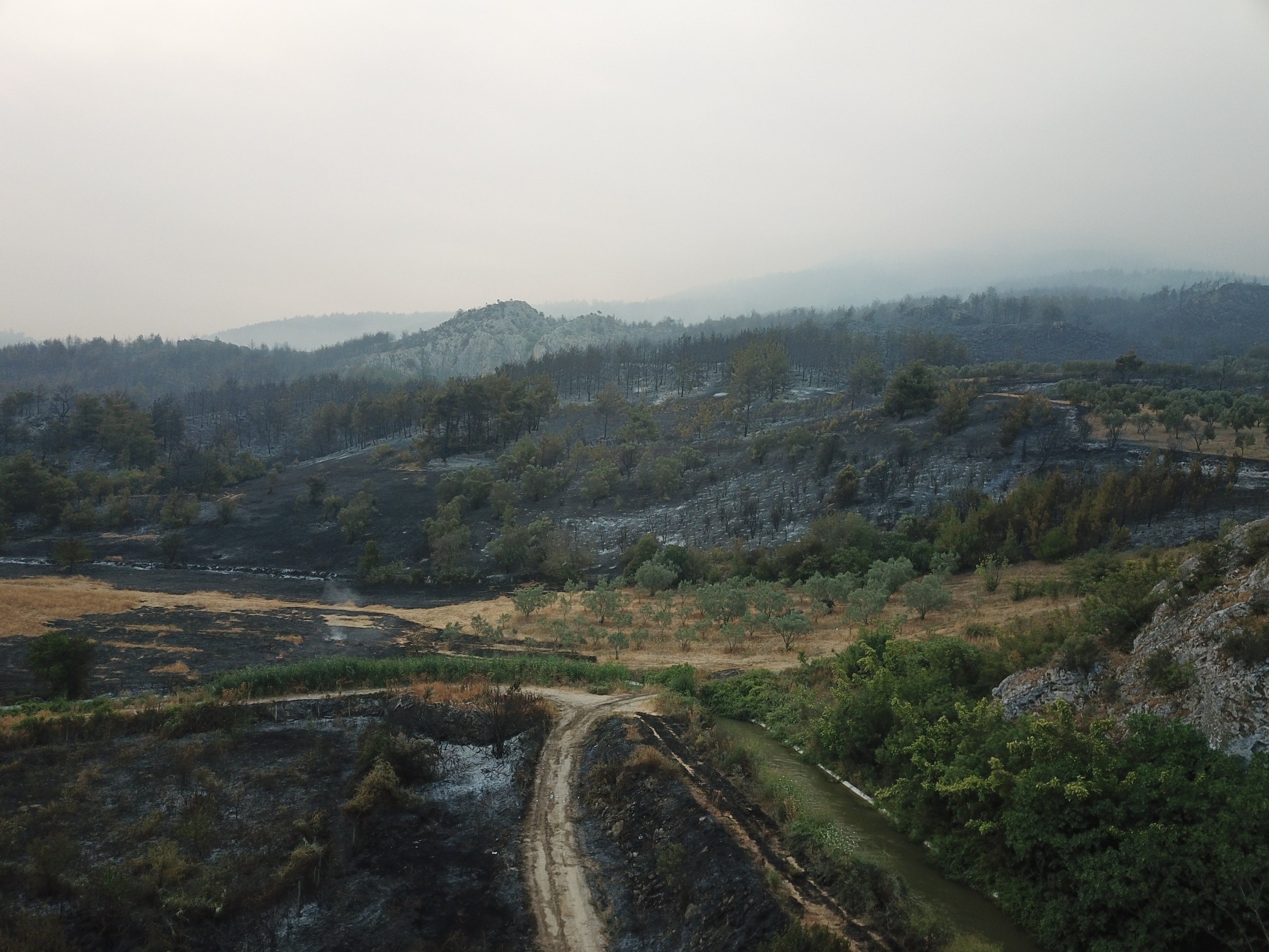 sakaryada-orman-yangini-2nci-gununde-825263-244513.jpg