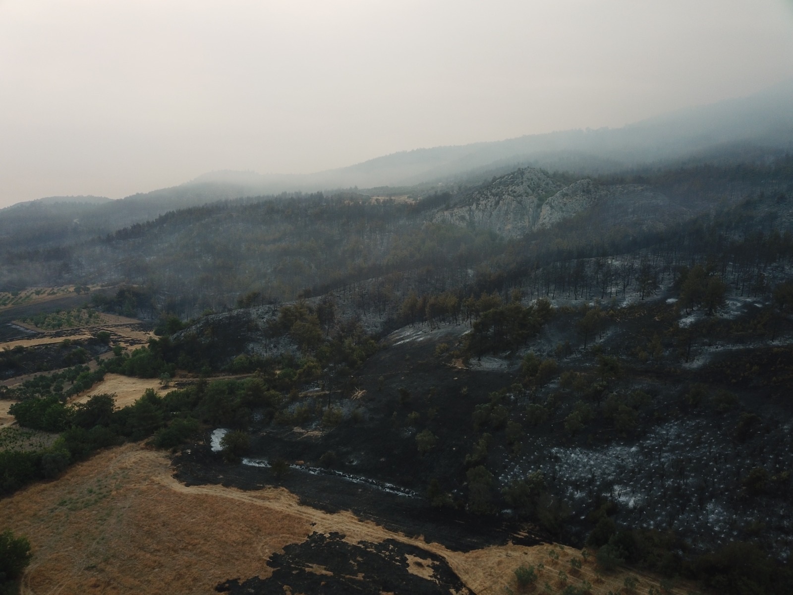 sakaryada-orman-yangini-2nci-gununde-825264-244513.jpg
