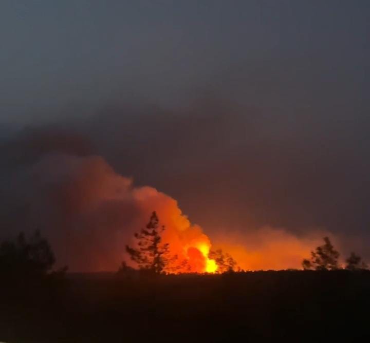 silifkede-orman-yangini-834360-247252.jpg