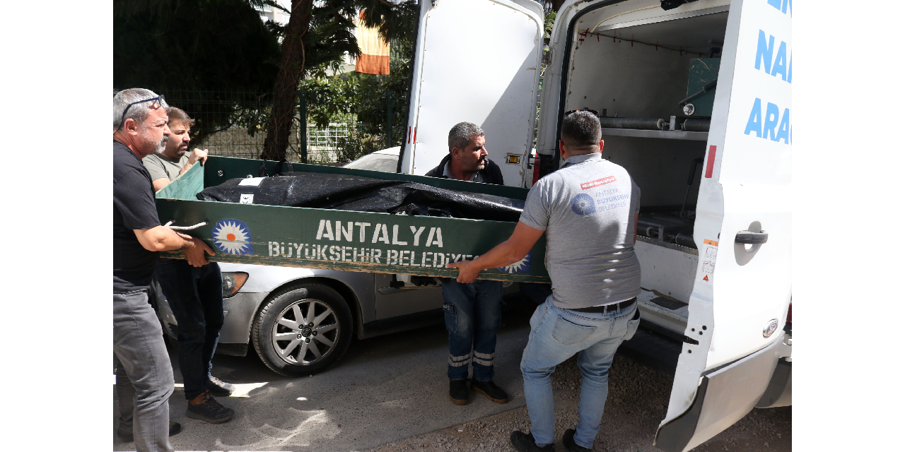 yeni-proje-2-001.png