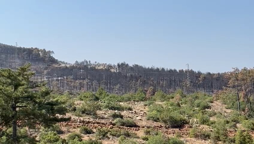 bursada-yanan-ormanlar-dronla-goruntule-840787-249235.jpg